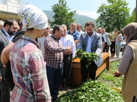 Das Leben/ İşte Hayat